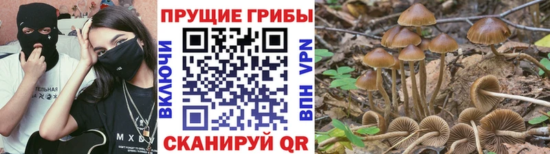 купить наркотики цена  Норильск  Псилоцибиновые грибы MAGIC MUSHROOMS 